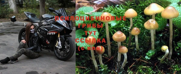 герыч Краснотурьинск