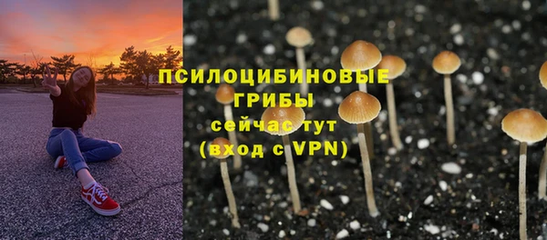 альфа пвп Краснослободск