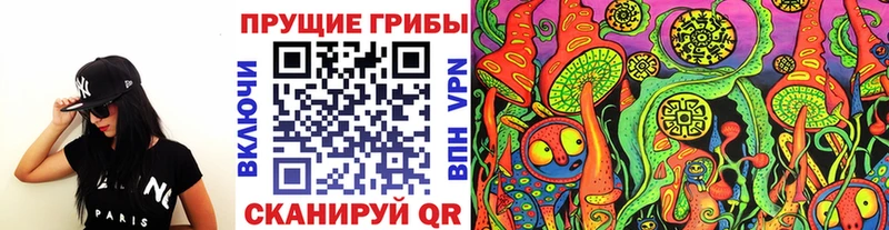 Псилоцибиновые грибы прущие грибы  Купить закладки  Егорьевск 